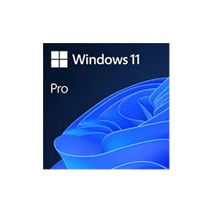 Windows 11 Pro Original License (32/64-Bit)